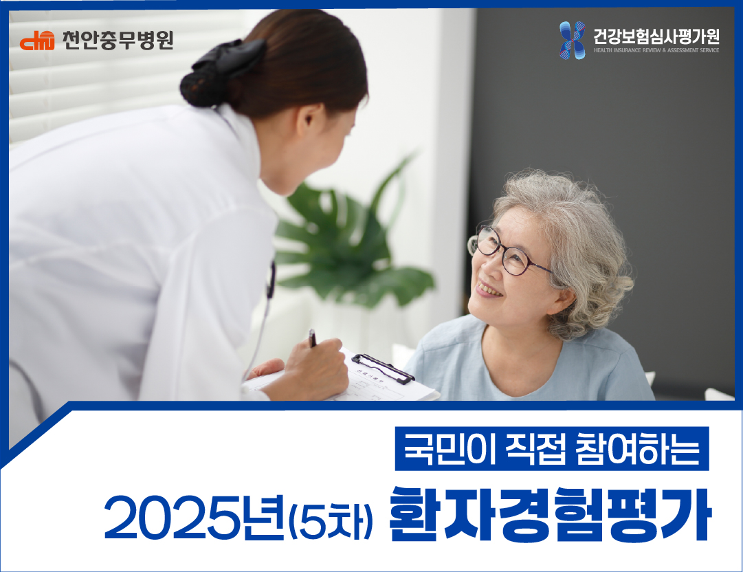 2025년 